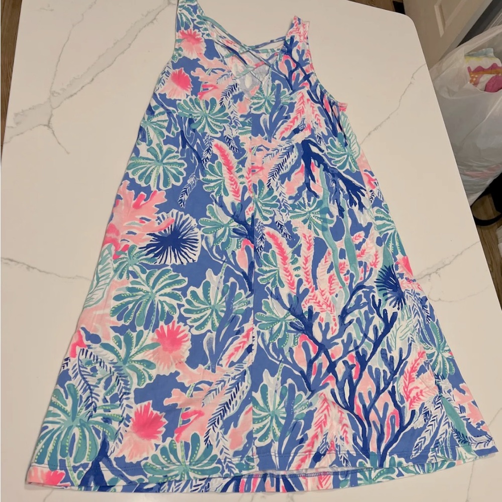 Lilly Pulitzer Kristin Swing Dress XL